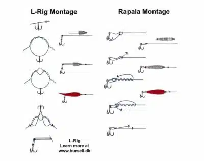 INNO Trout Baitholder Intermediate | Arctic-Fritid.no