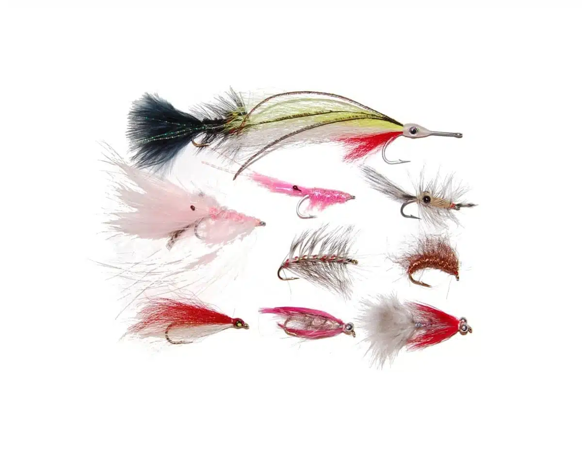 Kystfluer 10 stk ass. Enkelkrok | Arctic-Fritid.no Kystfluer 10 stk ass. Enkelkrok | Arctic-Fritid.no