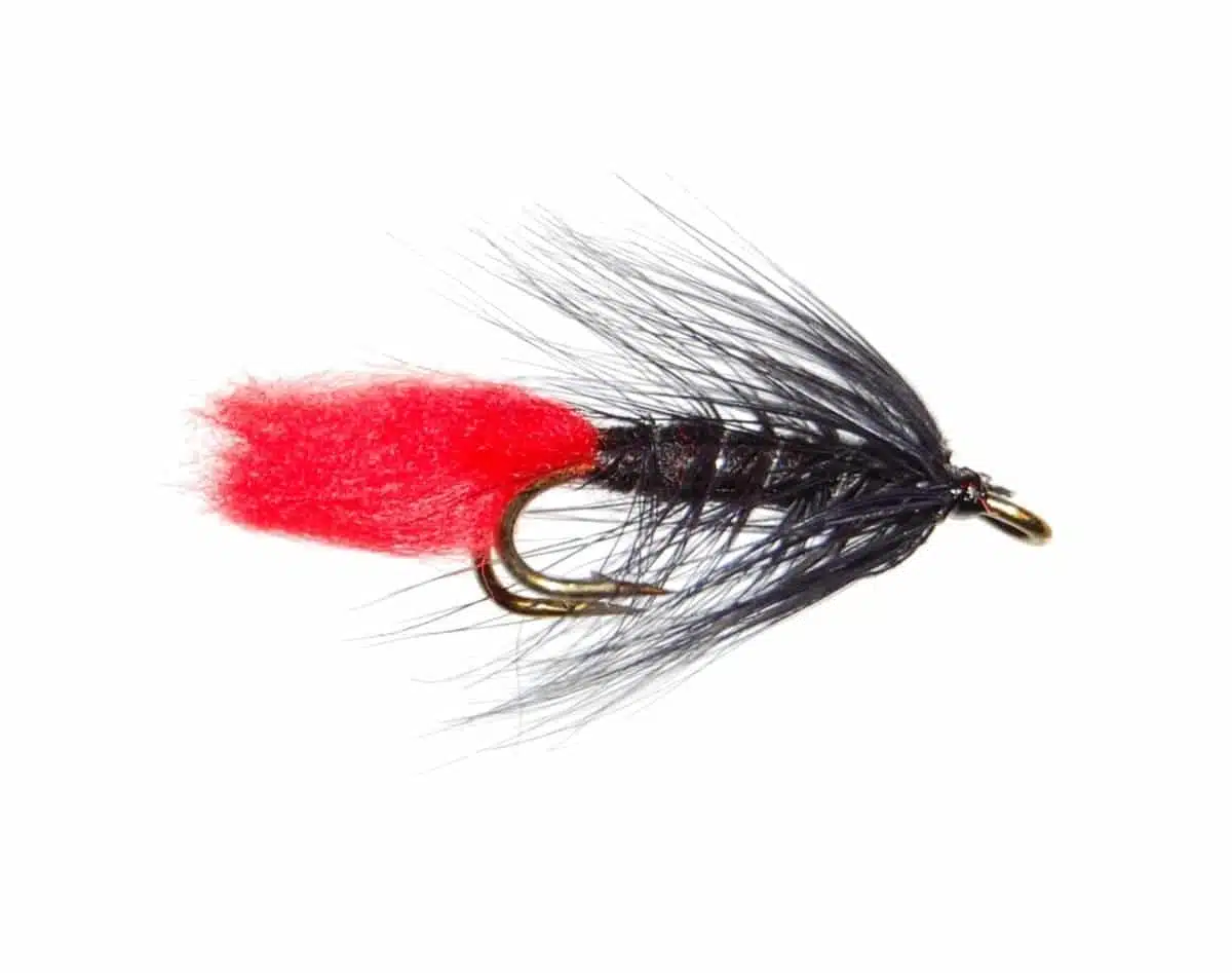 Black Zulu #8-12 Ørretfluer Dobbelkrok | Arctic-Fritid.no Black Zulu #8-12 Ørretfluer Dobbelkrok | Arctic-Fritid.no