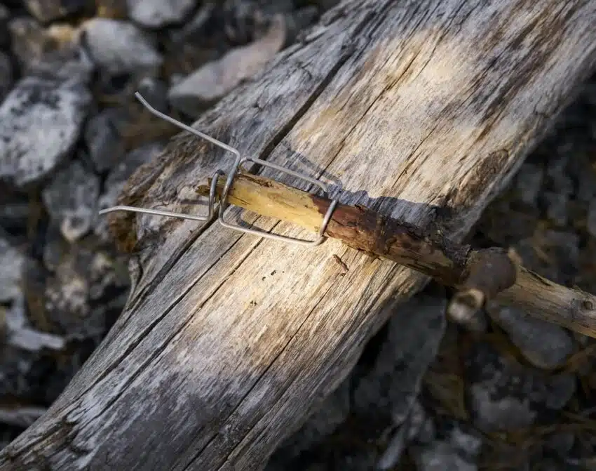 Light My Fire FireLighting Kit - CocoShell | Arctic-Fritid.no