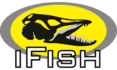 iFish