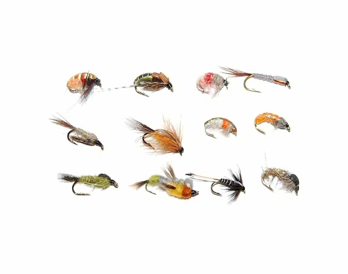 Nymfer 12 stk ass. #12-14 | Arctic-Fritid.no Nymfer 12 stk ass. #12-14 | Arctic-Fritid.no