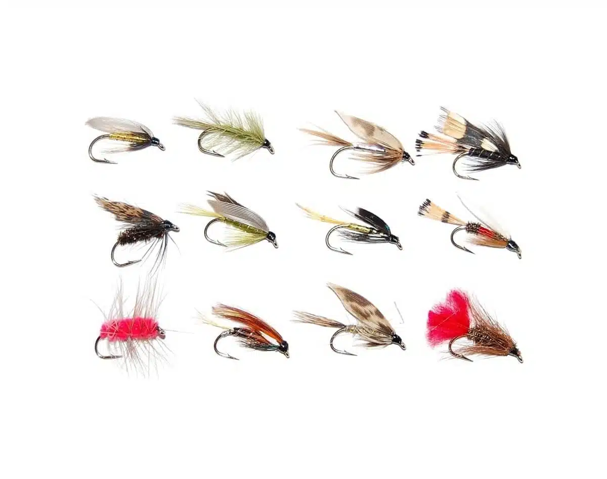 Våtfluer 12 stk Enkelkrok #8 | Arctic-Fritid.no Våtfluer 12 stk Enkelkrok #8 | Arctic-Fritid.no