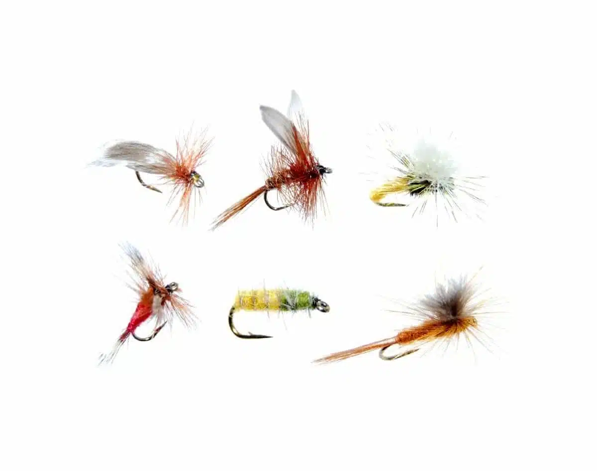 Tørrfluer 6 stk til ferskvannsfiske | Arctic-Fritid.no Tørrfluer 6 stk til ferskvannsfiske | Arctic-Fritid.no