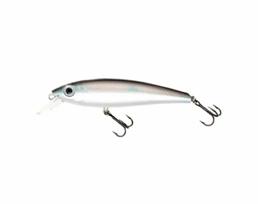 Prey Target Brisling | Arctic-Fritid.no