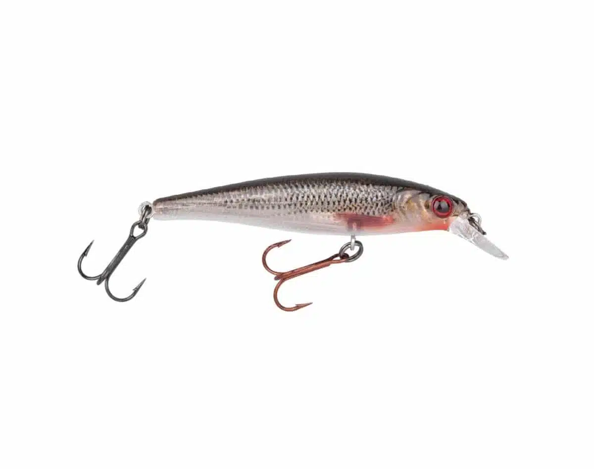 SPRO Ikiru Jerk – Roach | Arctic-Fritid.no SPRO Ikiru Jerk - Roach | Arctic-Fritid.no