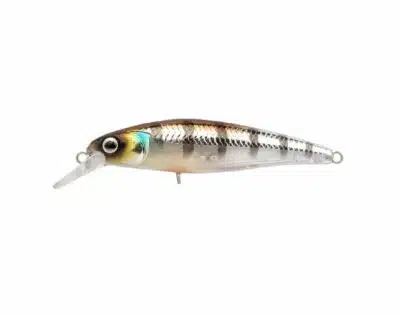 SPRO Ikiru Jerk SLS 65 - Buzzer | Arctic-Fritid.no