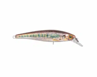 SPRO Ikiru Jerk SLS 65 - Gudgeon | Arctic-Fritid.no