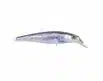SPRO Ikiru Jerk SLS 65 - Sea Trout | Arctic-Fritid.no
