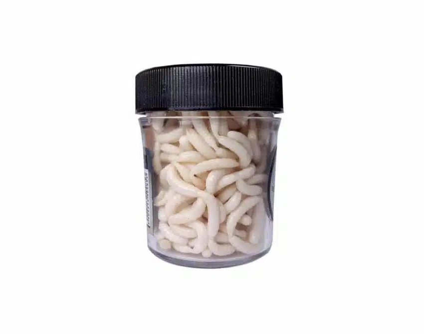 Traper Magic Bait Hvit Maggot | Arctic-Fritid.no