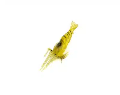 INNO Green Shrimp Tube - 40mm | Arctic-Fritid.no