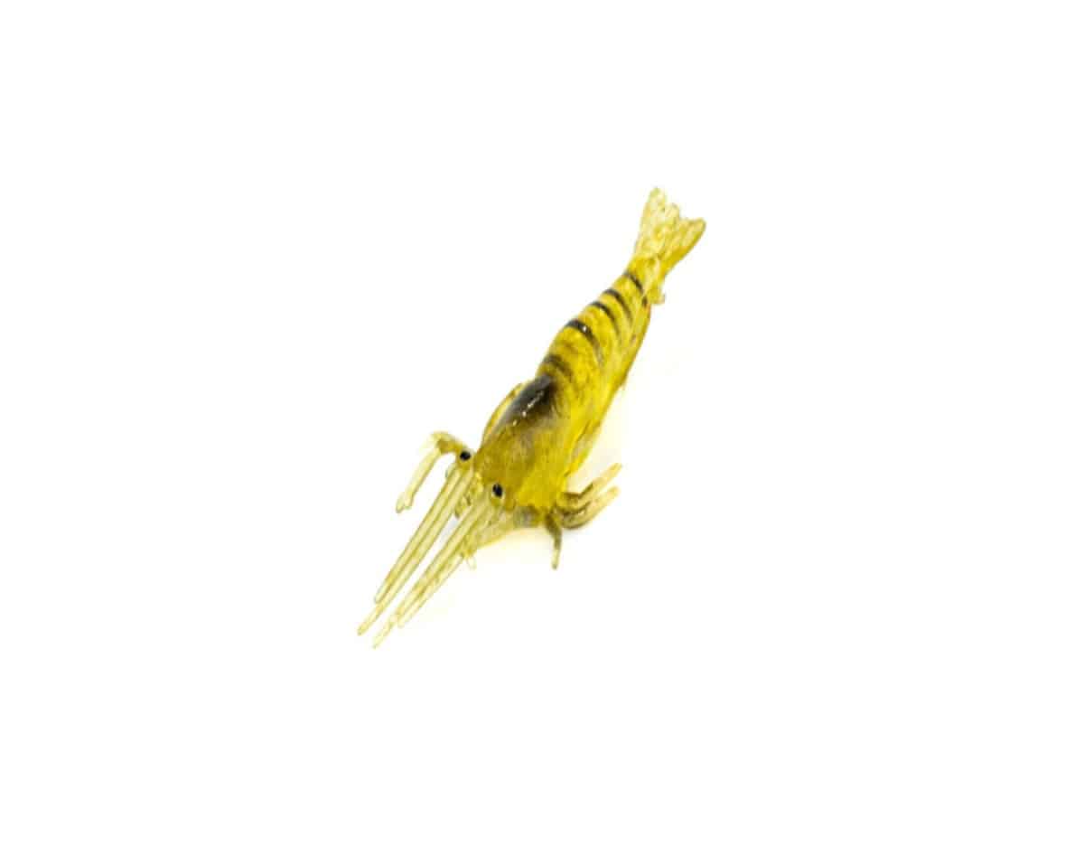 INNO Green Shrimp Tube – 40mm | Arctic-Fritid.no INNO Green Shrimp Tube - 40mm | Arctic-Fritid.no