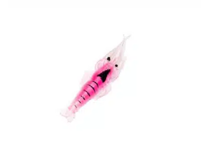 INNO Pink Shrimp Tube - 40mm | Arctic-Fritid.no