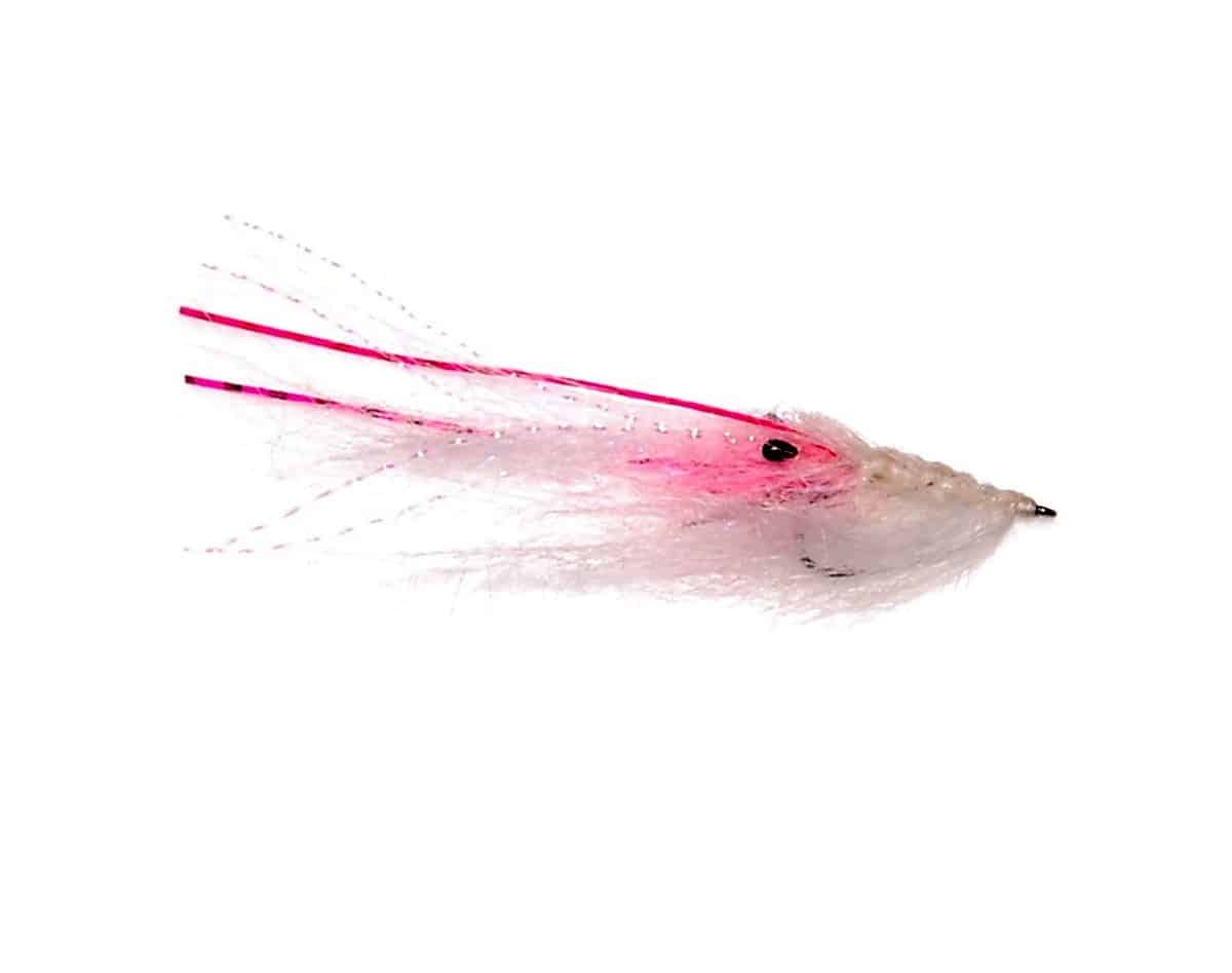 Pattegrisen Hvit #6 | Arctic-Fritid.no Pattegrisen Hvit #6 | Arctic-Fritid.no