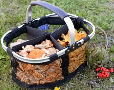 EAGLE Products Soppkurv | Arctic-Fritid.no