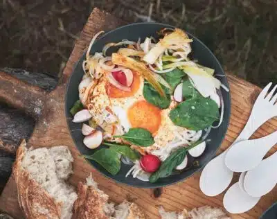 RamenPlate Turtallerken - Grønn | Arctic-Fritid.no