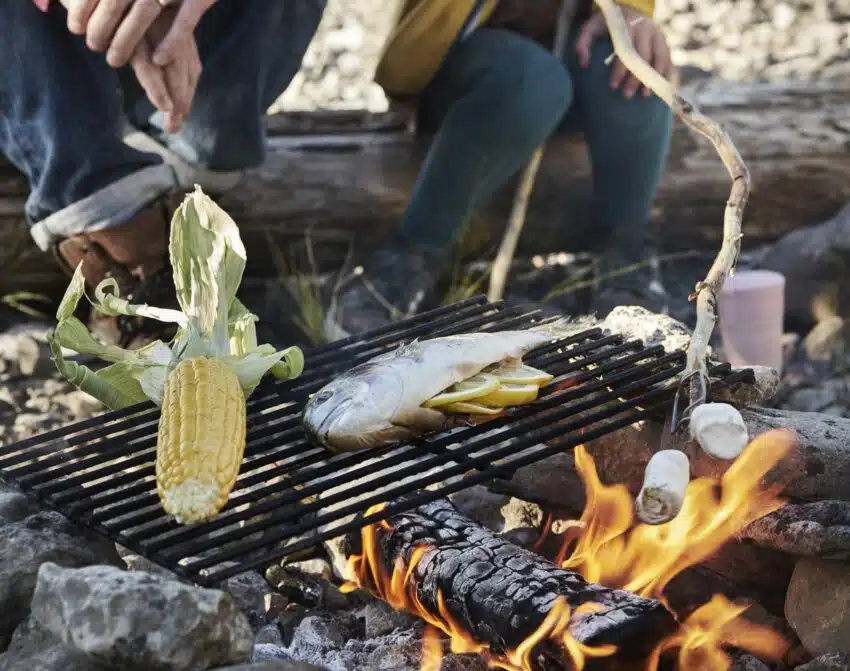 Fire'n Grill Kit fra Light My Fire | Arctic-Fritid.no